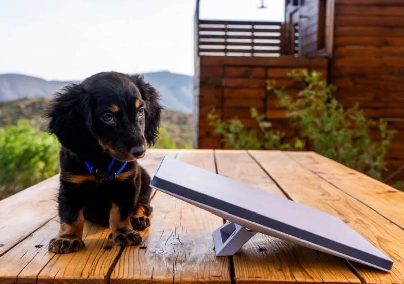 Starlink: internet dallo spazio a 30 franchi al mese