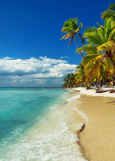 Vacations: keep an eye on international roaming!