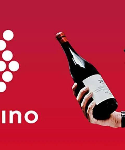 Vivino: The Must-Have App for Getting to Know Wine
